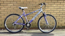 Magna Envy MTB 26 Inch Wheels