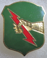 Army crest DI dui pb pinback  246th TANK BATTALION  armor regiment bn nhm