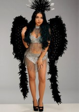 Luxury Diamante Black Feather