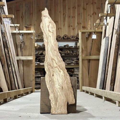 Hornbeam plank board - board, waney