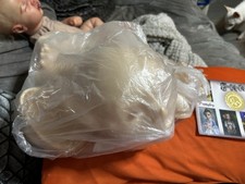 Reborn Fantasy Primsley with Pregnant Belly Plate KIT ONLY with COA