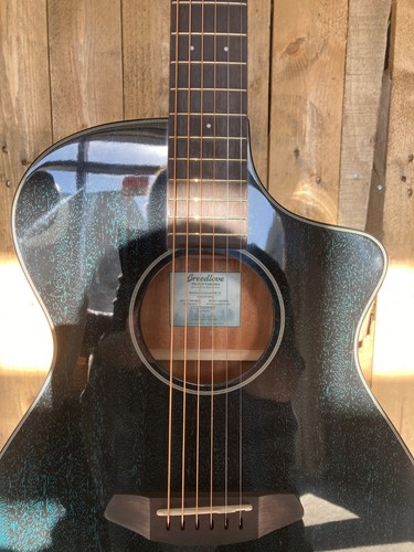 The breedlove rainforest - breedlove, s