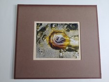 Yvon d'Anjou 1940-2023 -