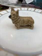 Wade Corgi Dog In Good