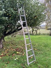 VINTAGE/ ANTIQUE  FRUIT PICKING LADDER / ORCHARD LADDER