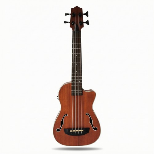 Acoustic bass ukulele - bass, smooth