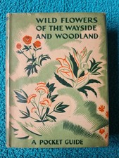 Wild Flowers of the Wayside &