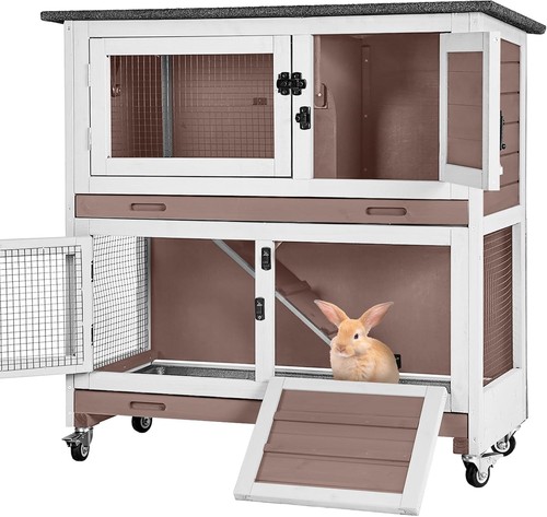 Rabbit hutch indoor bunny - rabbit,