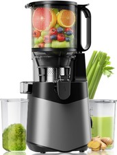 Cold Press Juicer 350W