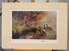 Mick Cawston - Strength in