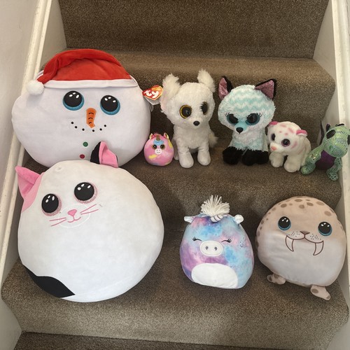 Beanie babies and squishies - beanie,