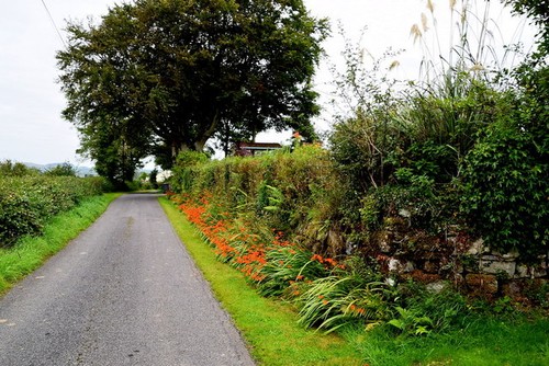 Photo 6x4 manse - road,, carony