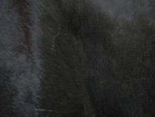 Jet Black short hair on leather  - 4.75" x 11.5" - 2mm pile fur - HR046