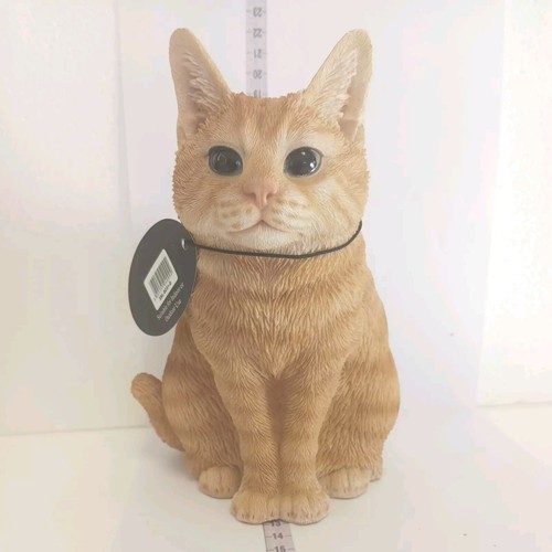 Vivid arts cat sitting - arts,