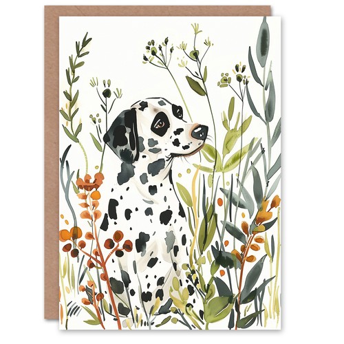 Dalmatian field plants - dalmatian, in
