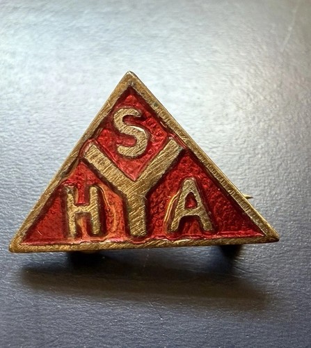 Vintage syha enamel pin - enamel,