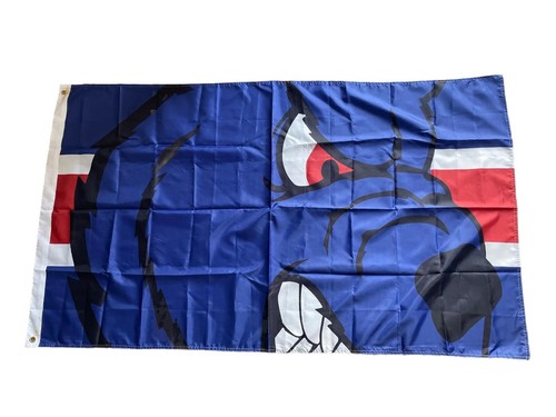 Glasgow rangers union bears - rangers,