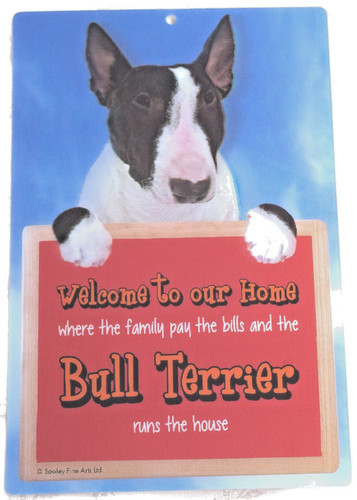 English bull terrier brindle - english,