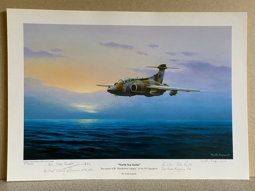 Squadron aviation art - 15,