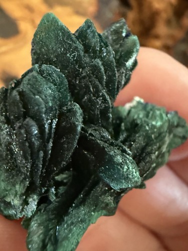 Velvety malachite after blue - velvety,