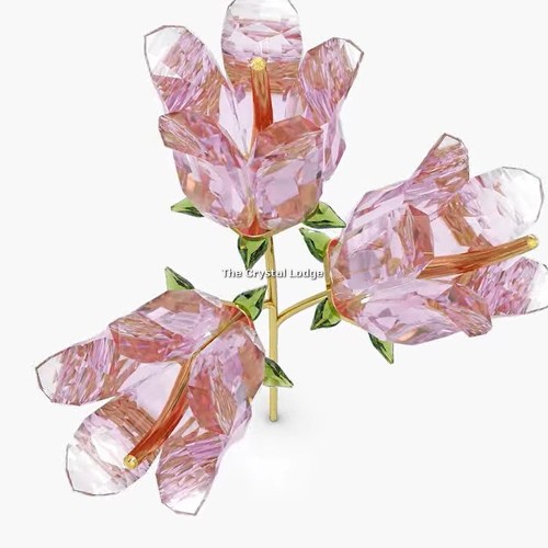 Swarovski crystal truly - swarovski,