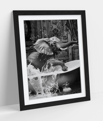 Elephant splashing bath - elephant, in