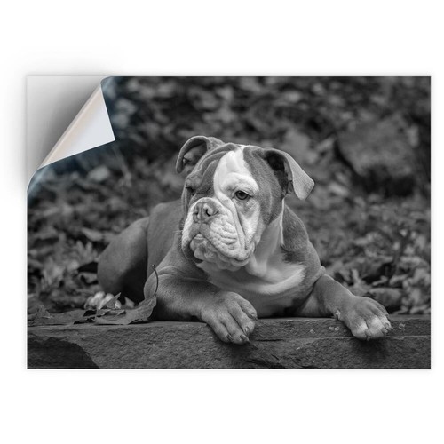 Vinyl sticker bw - sticker,