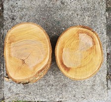 2 X Unseasoned  Wood Cherry
