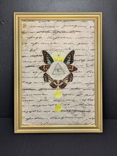 Real butterfly wing art - real,