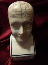 Phrenology Head 12" L.N Fowler