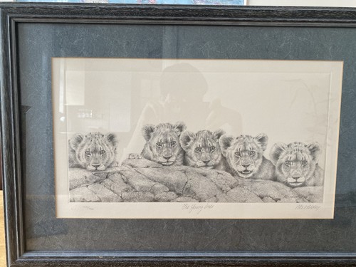 Signed peter hildick - signed, ltd