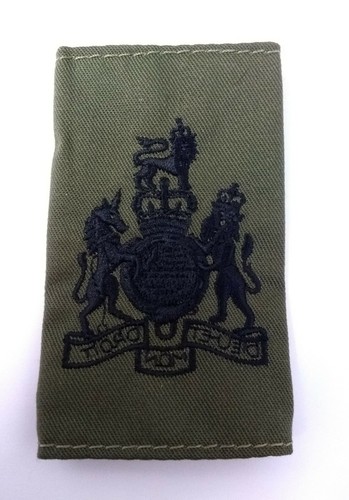 British warrant officer - british,
