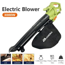 BUZZ 3000W Leaf blower Garden