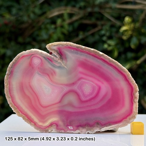 Pink agate slice polished - 5",