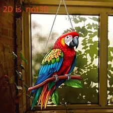 Parrot On Branch Colourful