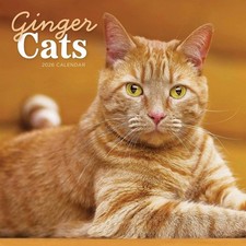 Ginger Cats Calendar 2026 -