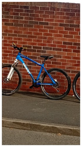 Giant revel mountain - giant, bike