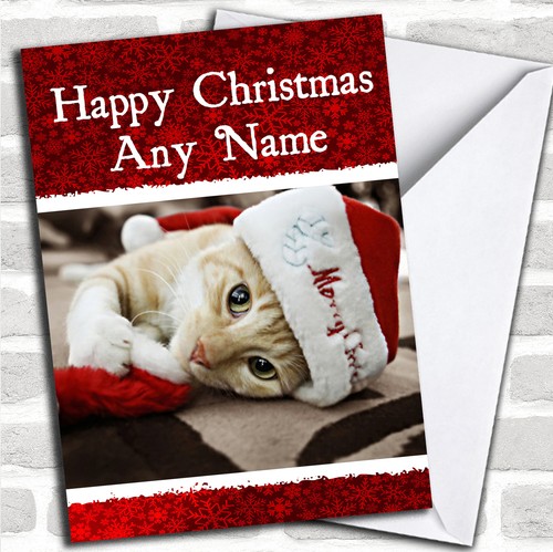 Beautiful kitten christmas - beautiful,