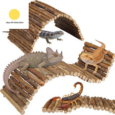 Bearded Dragon Accessories, 2