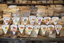 Lot of cheese presentation