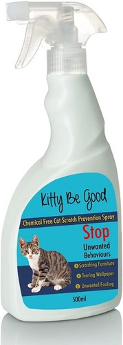 Sweet willow kitty - sweet,