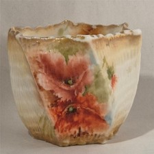 Nautilus  Porcelain