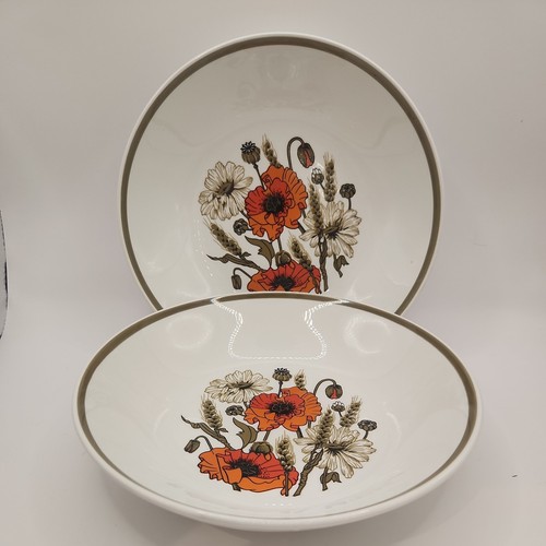 Set meakin poppy - set, j&g