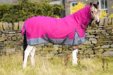 Outdoor Horse Turnout Durable Combo Neck Field 50g Rug Raspberry/Grey 5'3-6'9