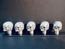 Pushead- Skull ☠️ TAC