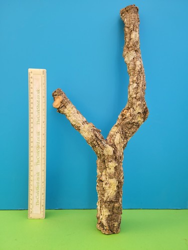 Cork bark branch 47cm snake - bark,