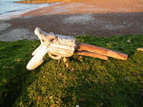 Driftwood gun
