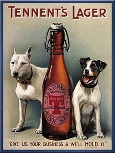 Tennents lager dogs - tennents,