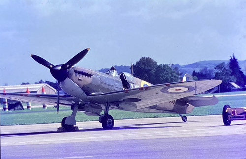 35mm slide merlin - slide,