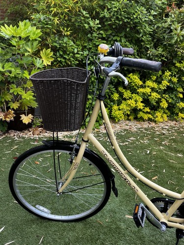 Ammaco classique dutch - classique,